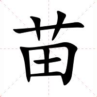 苗意思|苗的意思，苗字的意思